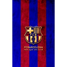 3D SKIN BARCA 1